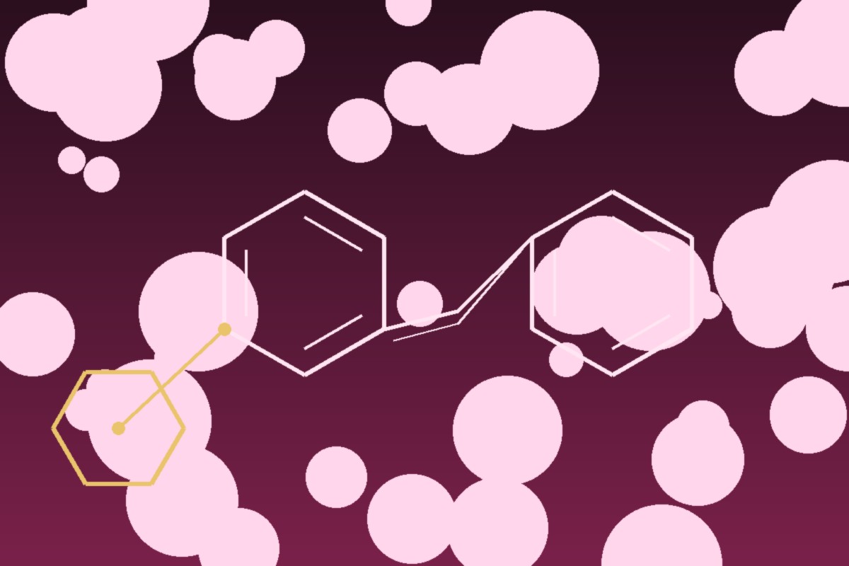 Piceid (polydatin): two aromatic rings of the resveratrol skeleton joined by an ethene bridge, capped with a glucose ring — Panacea Bio Chem
